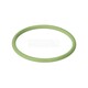TORIC SEAL 74X5-FPM1-70-GN